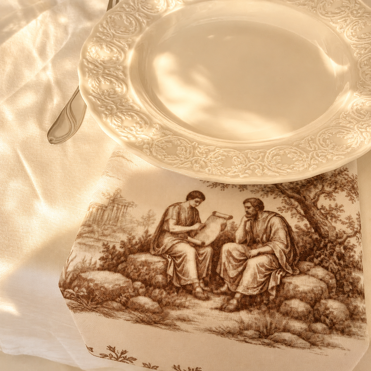 Siena Toile Napkin Set